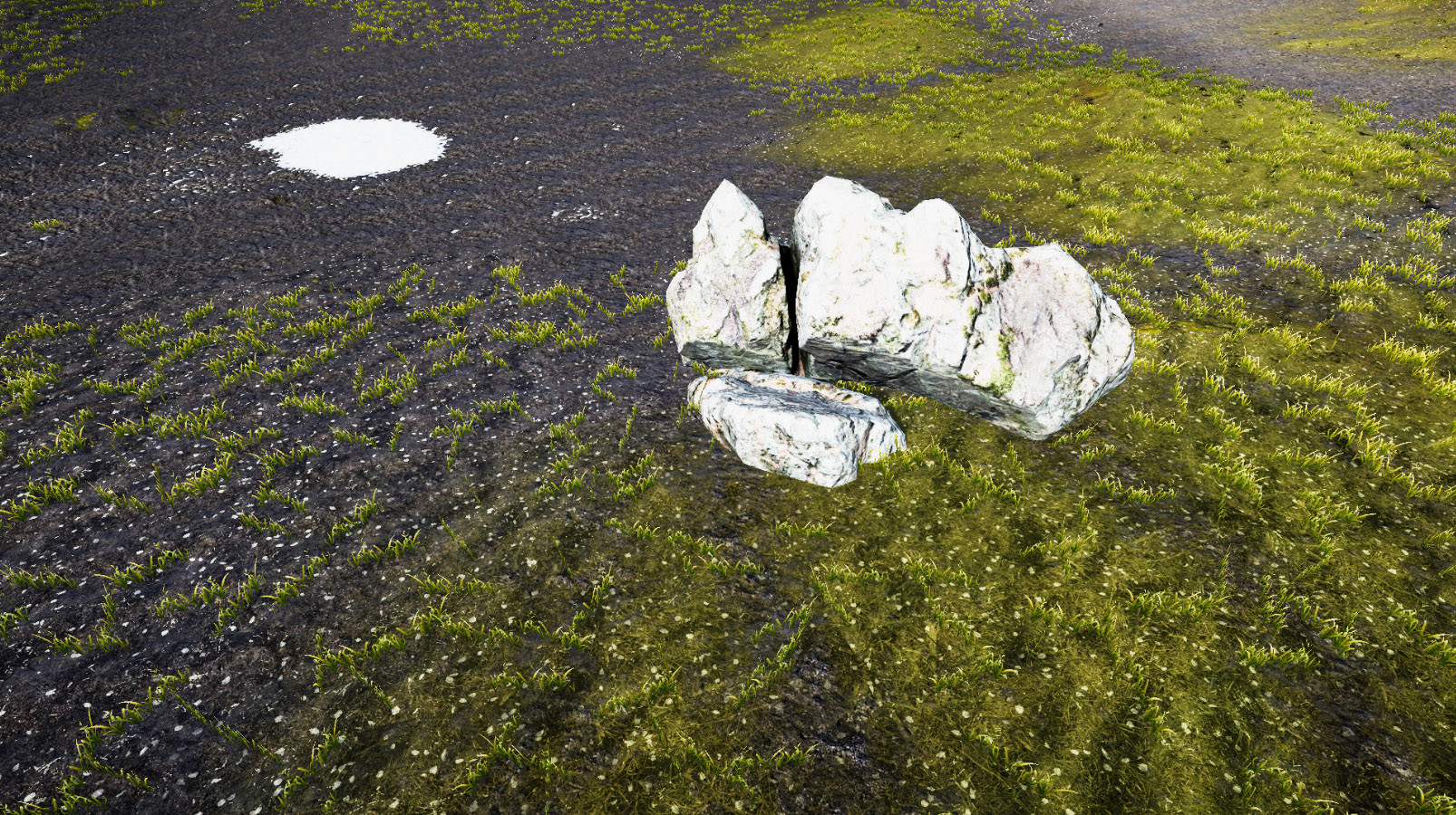 金子是我的/GOLD IS MINE(图5) 金子是我的/GOLD IS MINE(图5)