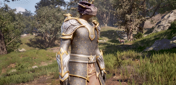 上古卷轴4：湮灭重制版/老滚4重制版/The Elder Scrolls IV: Oblivion Remastered(图3)