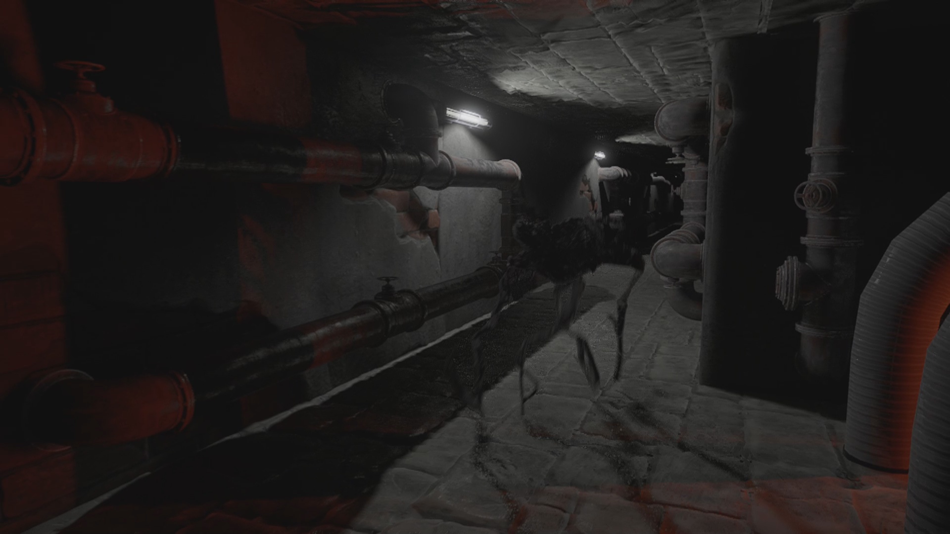 失落的希望：密室/Lost Hope: Backrooms(图7)