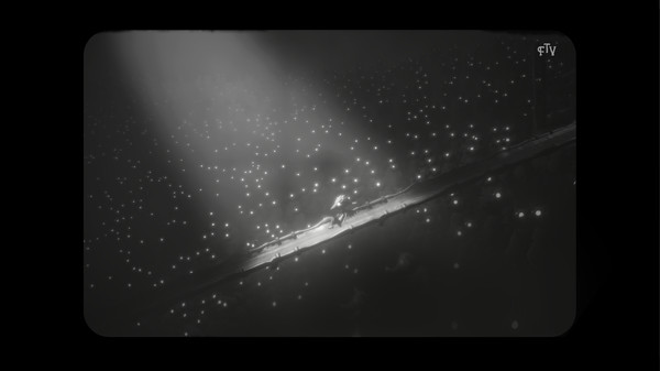 白色阴影/White Shadows(图6)