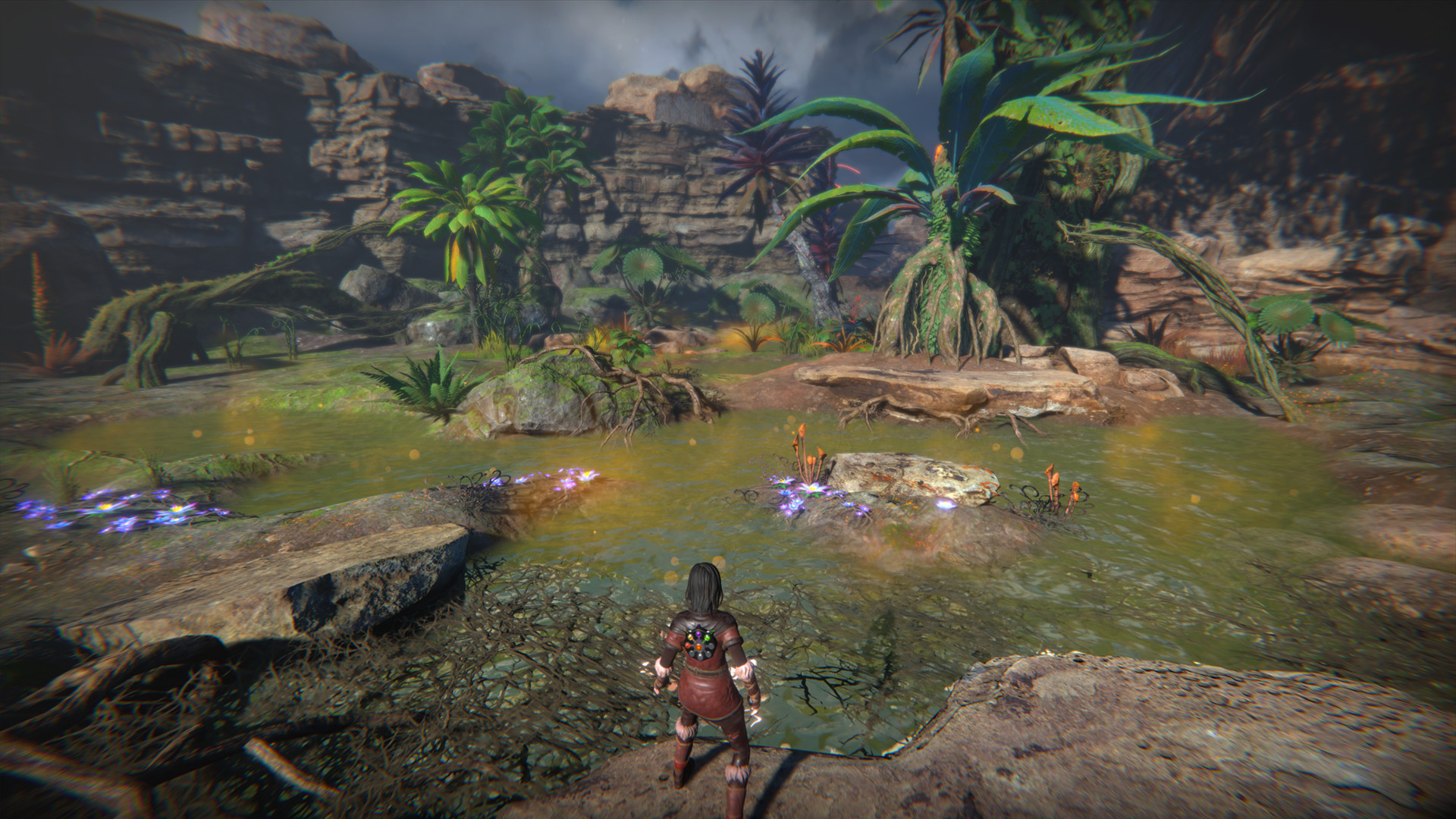 生命之种/Seed of Life(图2) 生命之种/Seed of Life(图2)