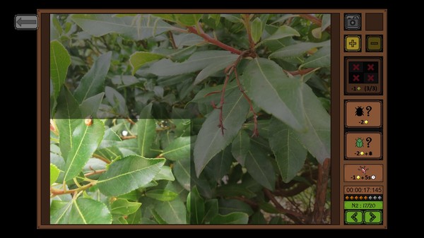 昆虫探寻者/Insect Seeker(图3) 昆虫探寻者/Insect Seeker(图3)