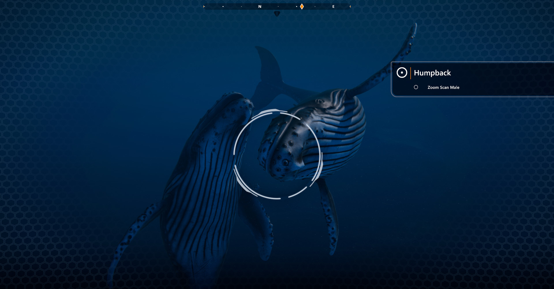 深海超越/Beyond Blue（整合拍照模式）(图3)