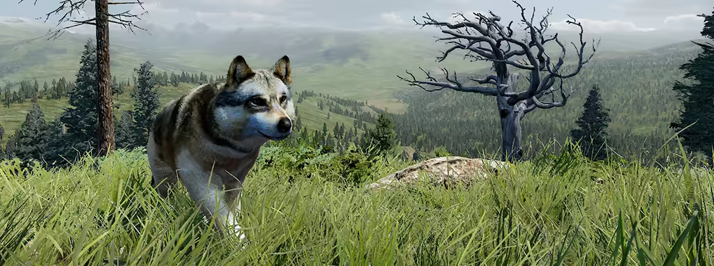 野狼谜踪：周年纪念版/WolfQuest: Anniversary Edition(图3)