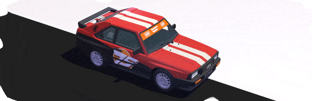 驾驶拉力赛/DRIVE Rally(图5)