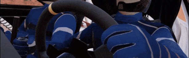 越野英雄4/V-Rally 4(图2)