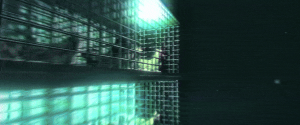 极地煎蛋/Arctic Eggs(更新Build.18492481)(图4)