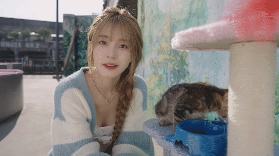 恋爱单选题(图8) 恋爱单选题(图8)