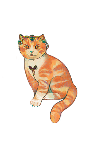 鸟之谜/Avian Enigma(图6)