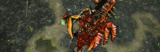 地下蚁国/Empires of the Undergrowth(更新v1.101071)(图7)