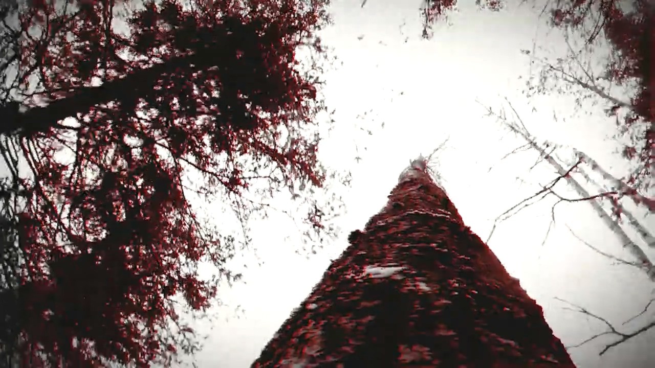 狼人之末日怒吼：地灵之血/Werewolf: The Apocalypse Earthblood(图1)