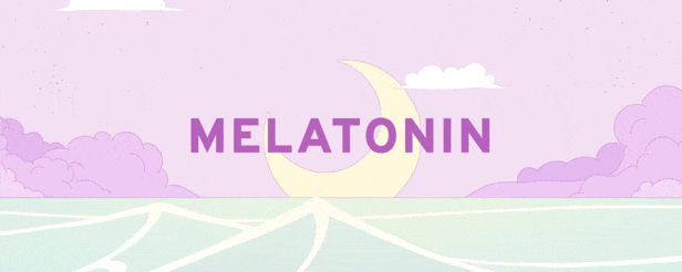 褪黑素/Melatonin(图2)