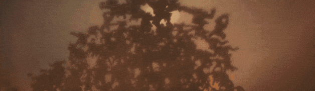 战锤40K：战争黎明3/Warhammer 40,000: Dawn Of War III(图2)