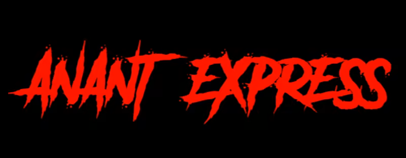 阿南特快车/Anant Express(图2)