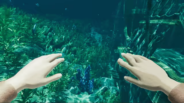 孤岛笔记/Island Notes(图6) 孤岛笔记/Island Notes(图6)