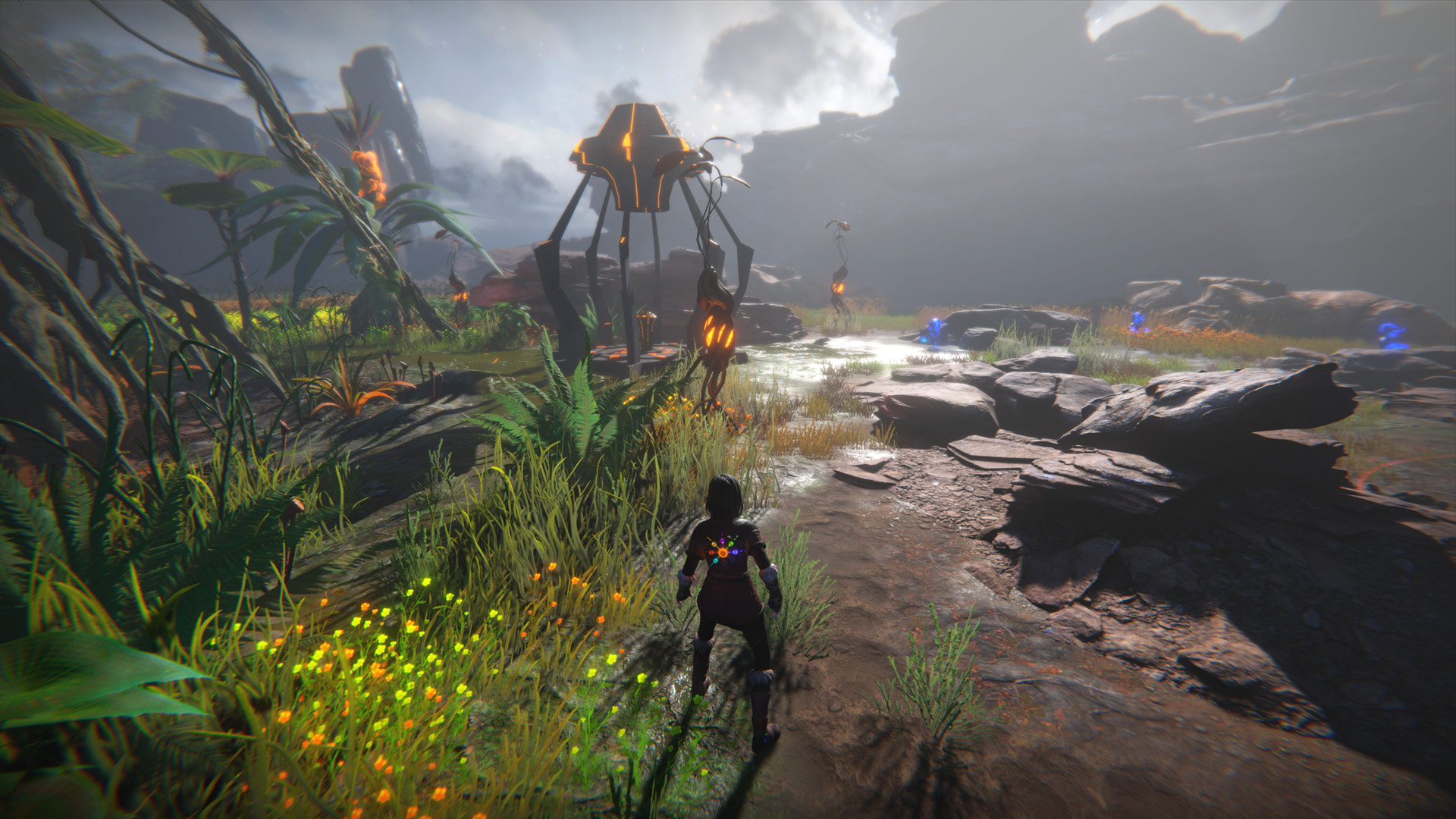 生命之种/Seed of Life(图6) 生命之种/Seed of Life(图6)