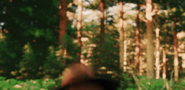 护林员模拟器/Forest Ranger Simulator(图9)