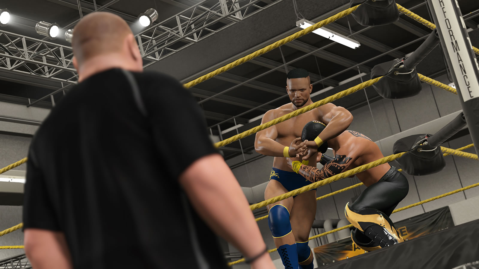 WWE 2K15(图6) WWE 2K15(图6)