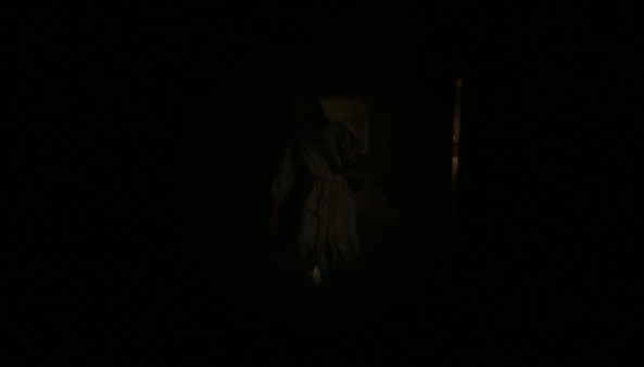 恐怖撤锁/Horror Villa(图4)