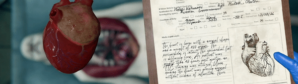 验尸模拟器/Autopsy Simulator（更新v153.413）(图4)