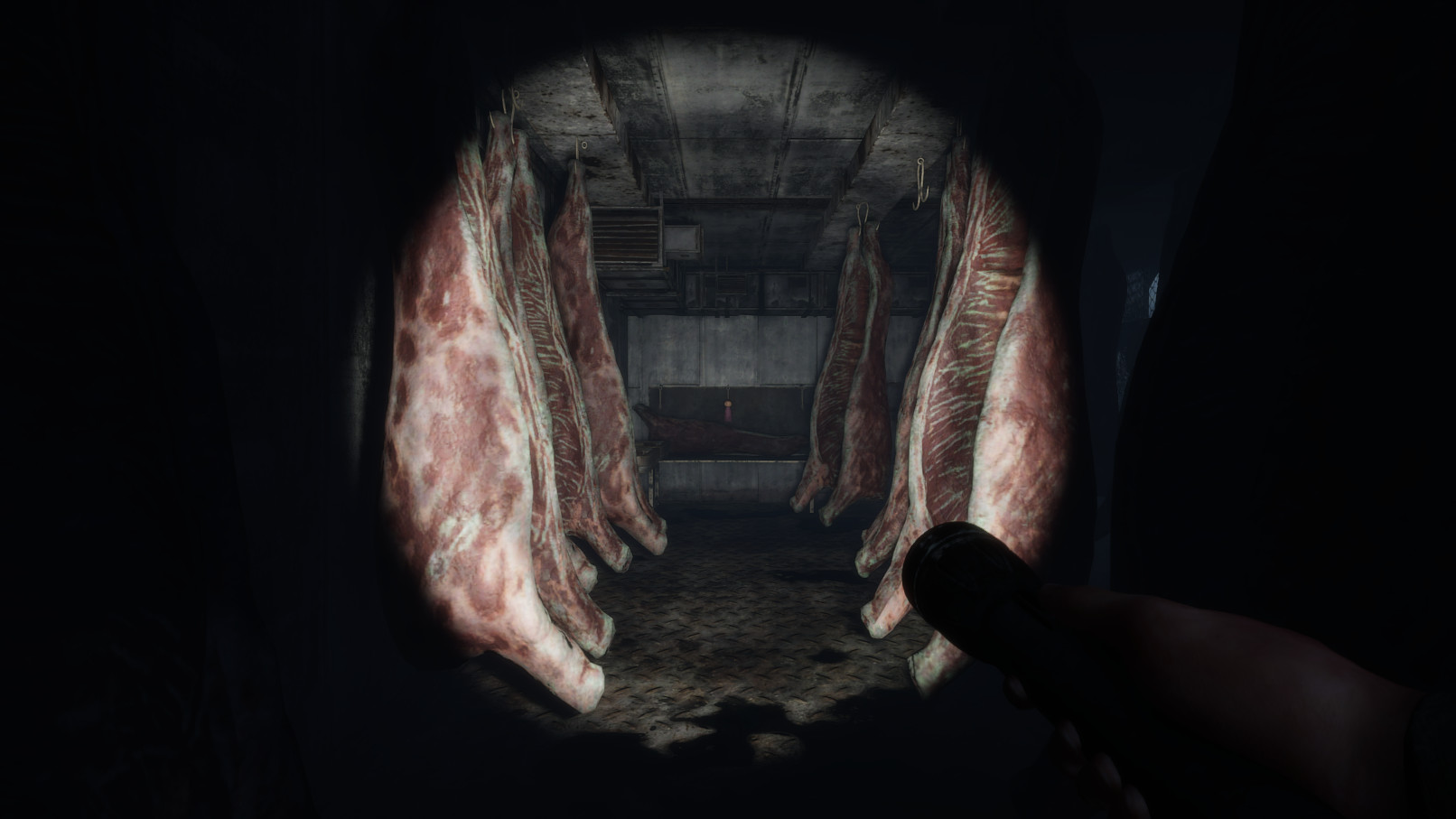 神志清醒/In Sound Mind(图2)