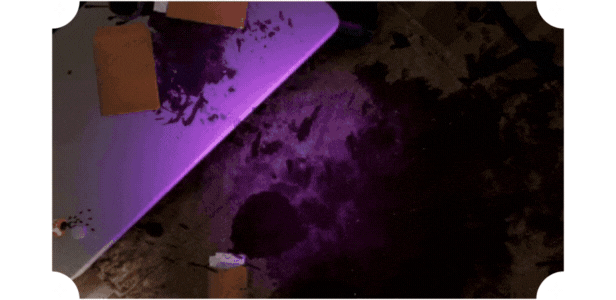 探秘者/Secret Seeker(图4)