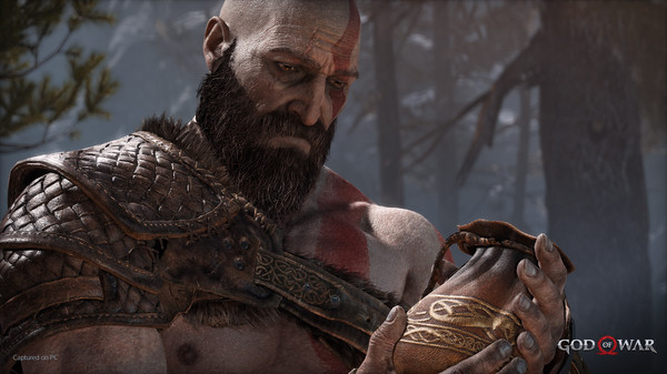 战神4/God of War（V1.0.13-斗战狂神-奎爷的裁决+全DLC）(图7)