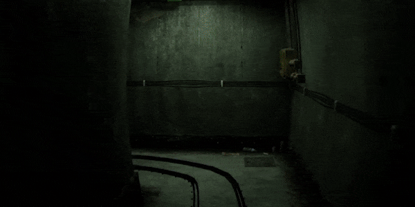 癫狂动物园/Zoochosis(图4)