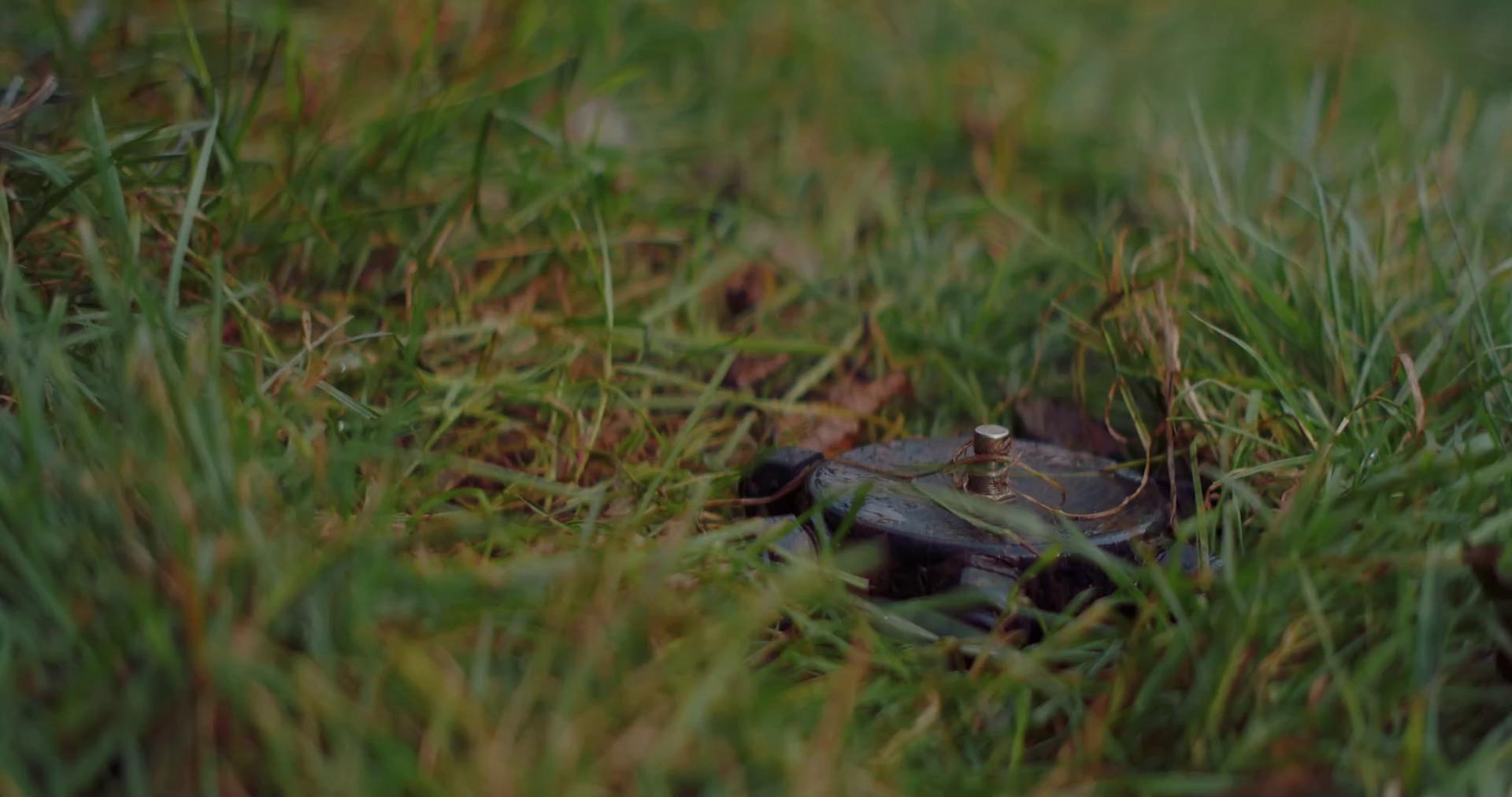 血岸岛/Bloodshore(图4)