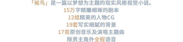 候鸟（Build.10295171+中文语音）(图4)