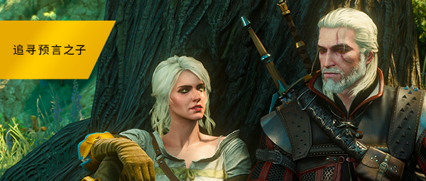 巫师3：狂猎-次世代完全版/The Witcher 3: Wild Hunt（v4.04）(图9)