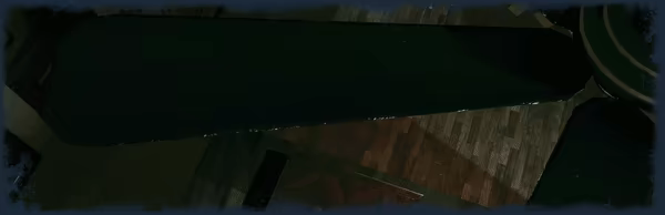 贼之避难所/THIEF’S SHELTER(图2)