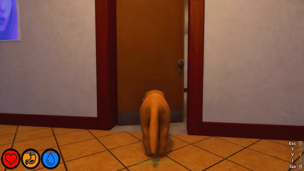 迷途狗爪/Lost Paws(图5) 迷途狗爪/Lost Paws(图5)