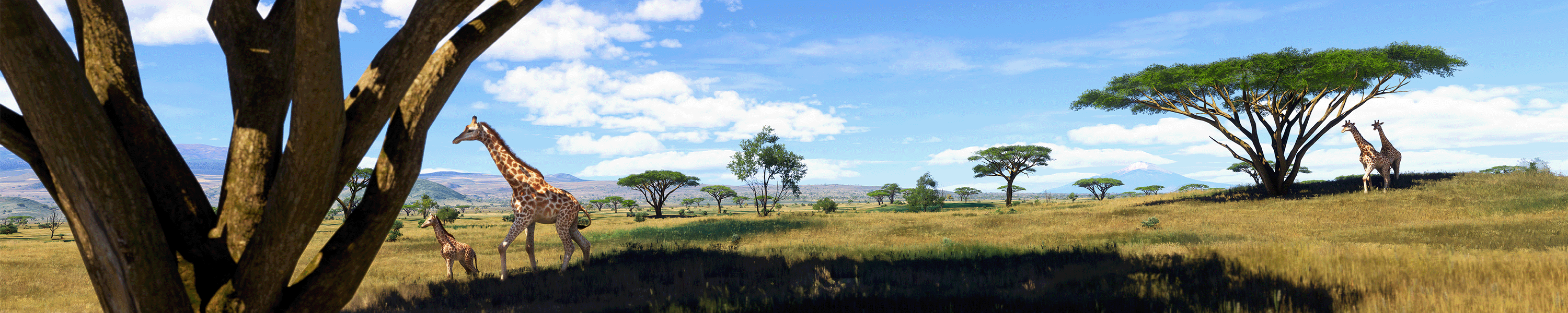 微软飞行模拟2024/Microsoft Flight Simulator 2024/支持网络联机（更新v1.39.9.0）(图10)