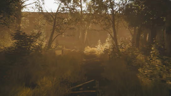 我的碎片/Pieces of me(图3)