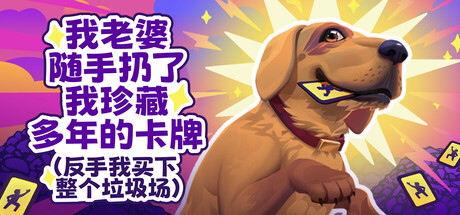 老婆随手扔了我多年珍藏卡牌/My Wife Threw Out My Card Collection(图1)