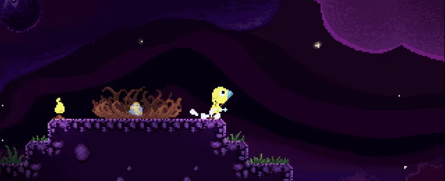 钻头鸟/Drill Bird(图3)