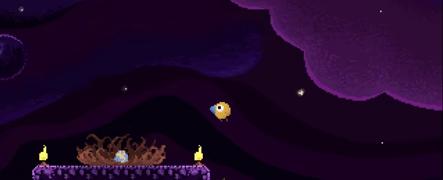 钻头鸟/Drill Bird(图4)