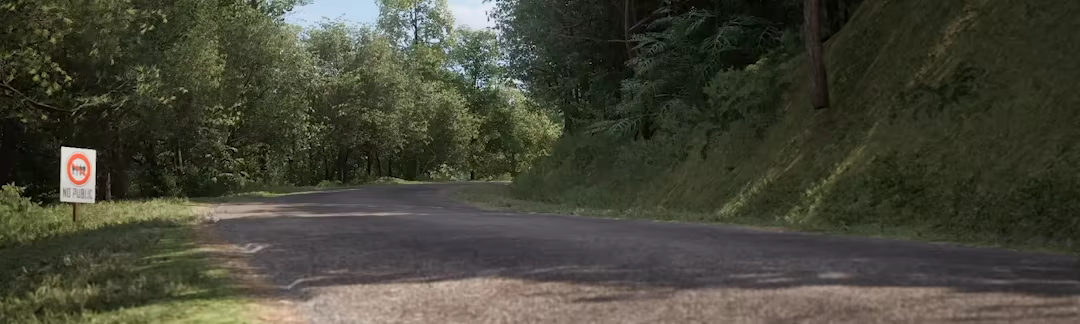 神力科莎：拉力/Assetto Corsa Rally(图2)