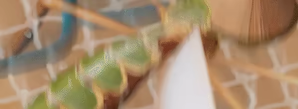 蚊子帮/The Mosquito Gang/支持网络联机(图7) 蚊子帮/The Mosquito Gang/支持网络联机(图7)