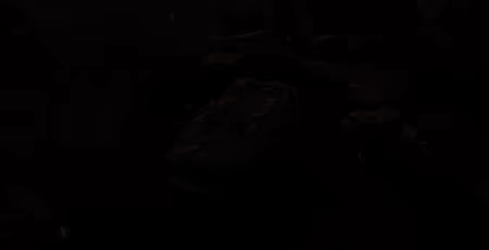 战术小队/Squad/支持网络联机(图5) 战术小队/Squad/支持网络联机(图5)