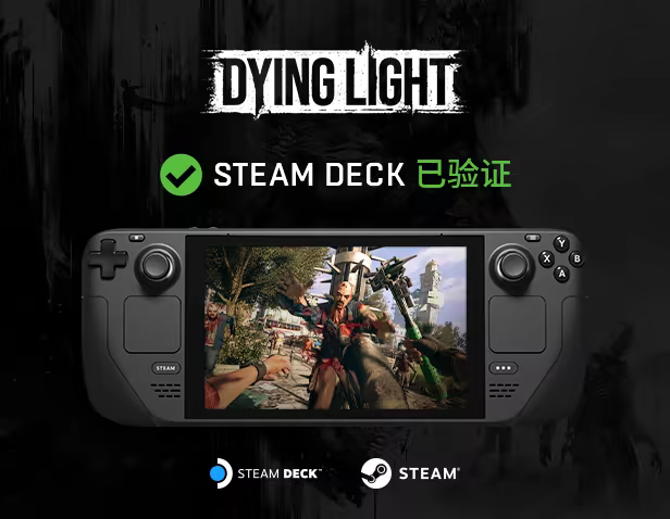 消逝的光芒/Dying Light/支持网络联机(图2)