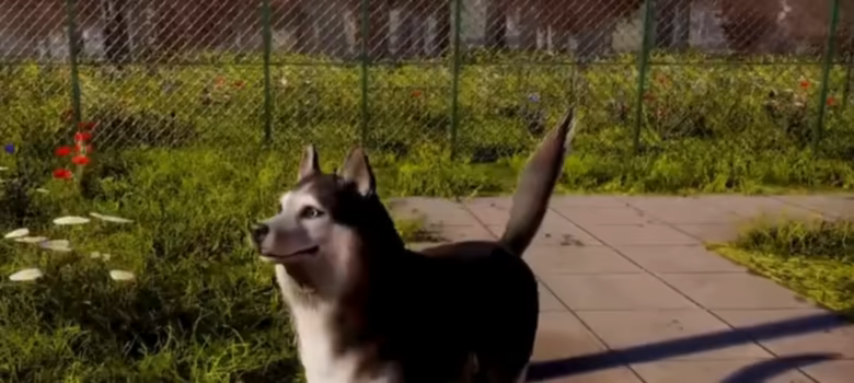 动物收容所2/Animal Shelter 2/支持网络联机(图7)