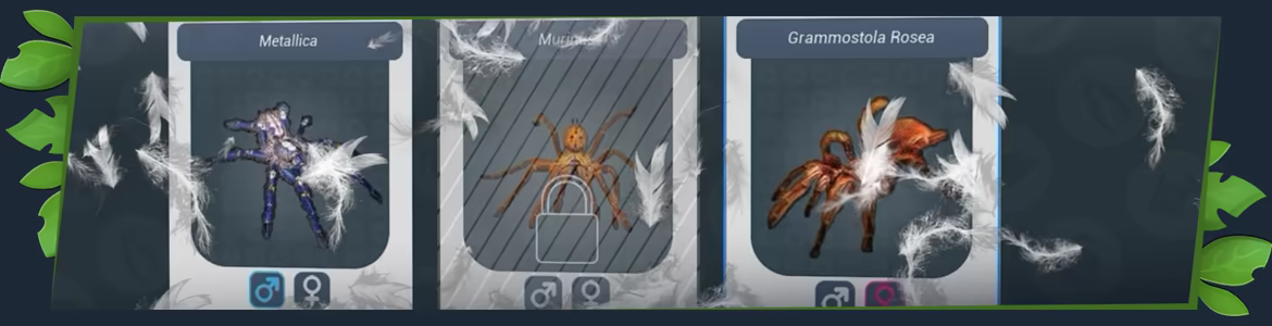 异域风情2:宠物店模拟器/Exotica 2: Pet Shop Simulator(图4) 异域风情2:宠物店模拟器/Exotica 2: Pet Shop Simulator(图4)