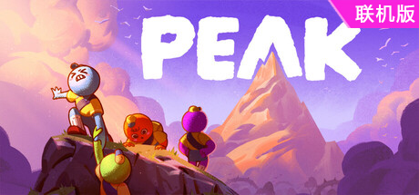 巅峰/PEAK/支持网络联机