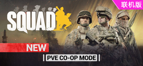 战术小队/Squad/支持网络联机