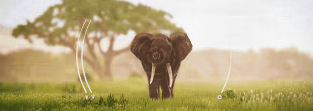 幽居之境/Seclusa(图2)