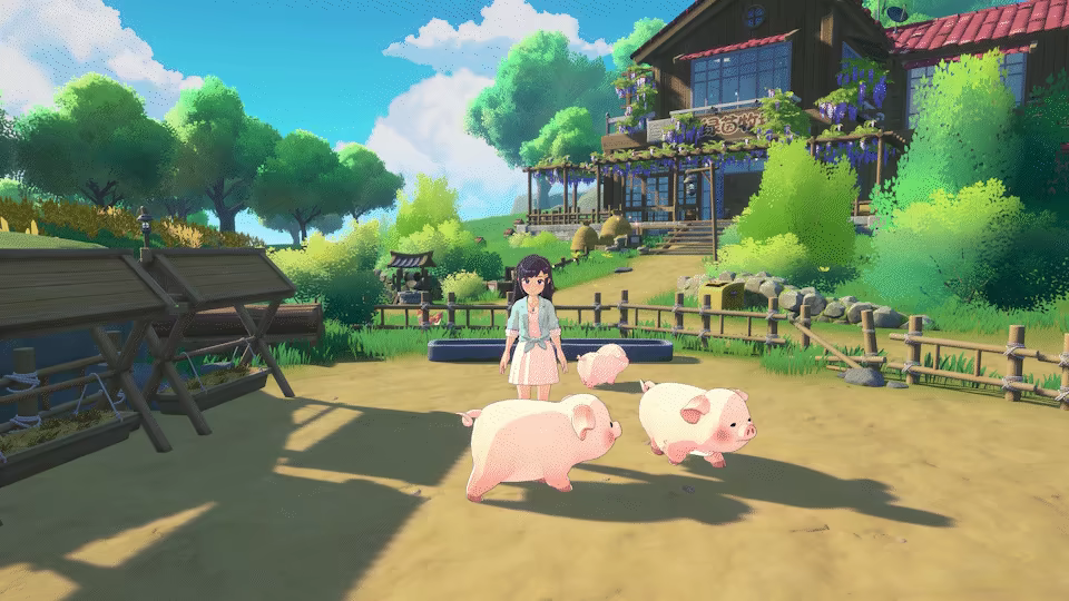 星砂岛/Starsand Island(图6) 星砂岛/Starsand Island(图6)