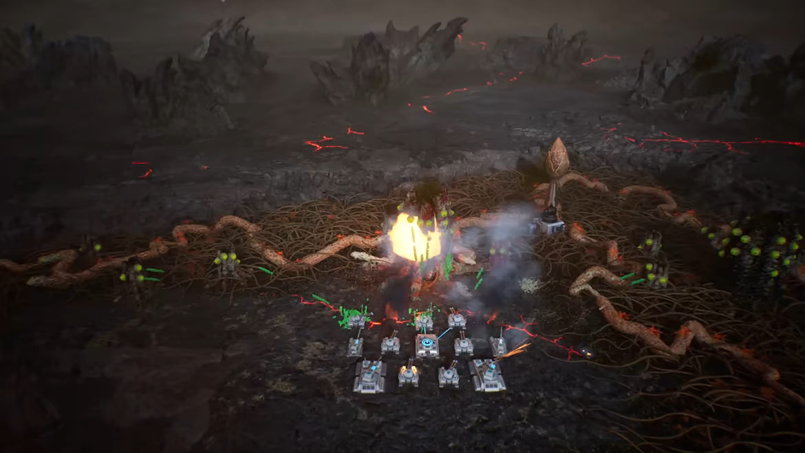 星萼/Calyx(图3) 星萼/Calyx(图3)