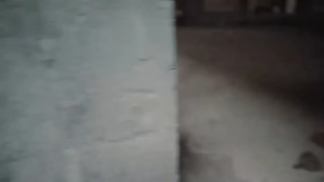 逆袭重启/Rebooted Fate(图6) 逆袭重启/Rebooted Fate(图6)